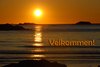 147_FL_Fredvang_midnattssol_te