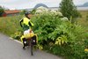 090_VV_Mot_Kvalnes_tromsopalme